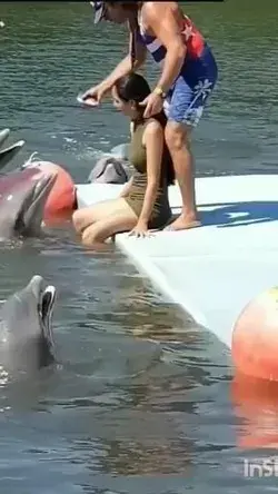 Playing with Dolphin 🐬