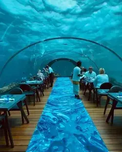 5.8 Undersea Restaurant, Hurawahli Maldives. www.theprivatetraveller.com