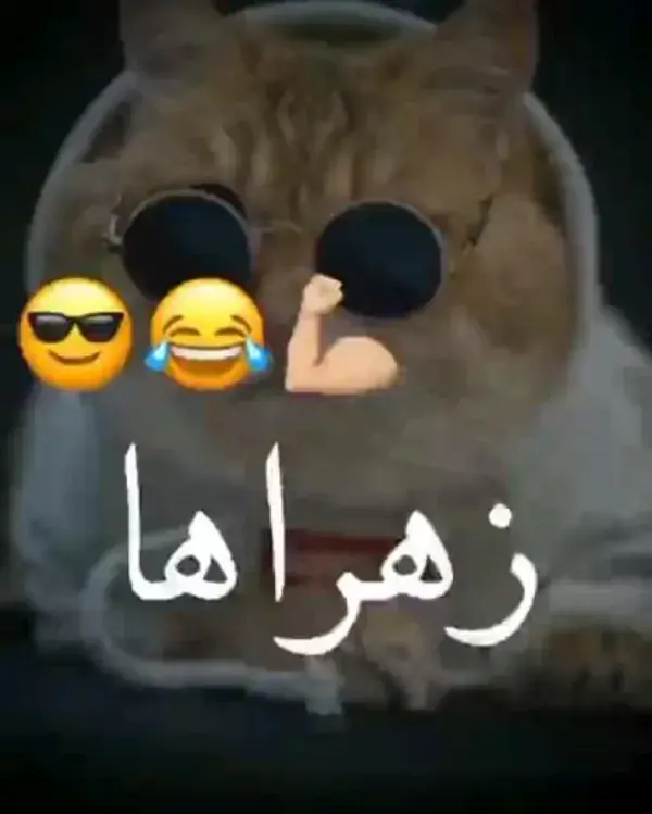 این برا زهرا هاست😎🔗