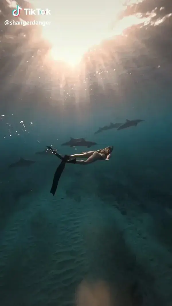 Girl Swims with Dolphins | Ocean Diving