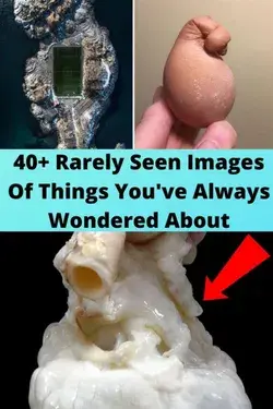 40+ Rarely Seen Images Of Things You've Always Wondered About