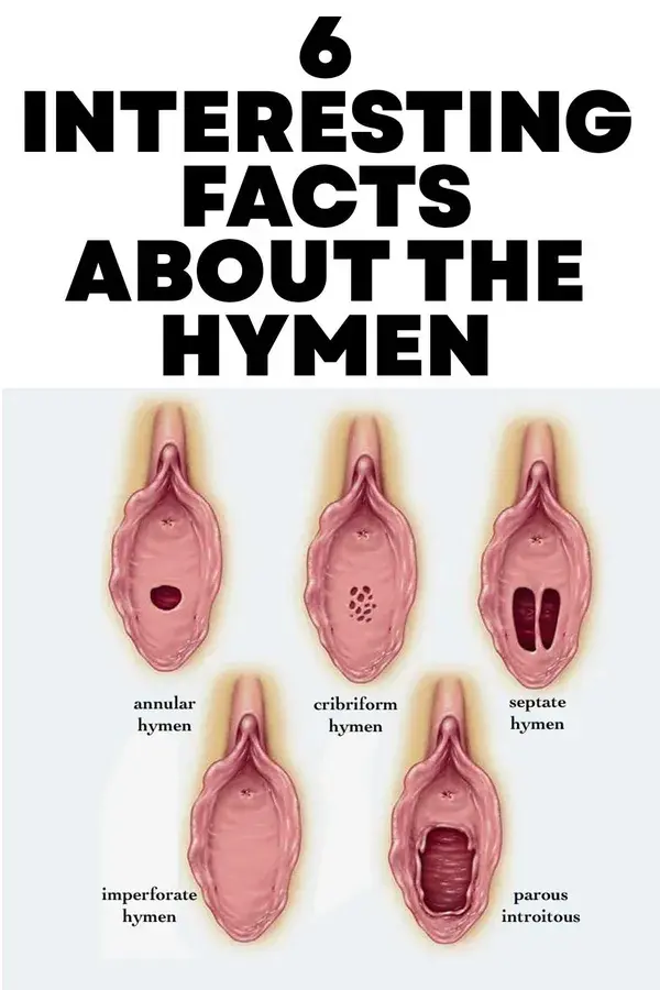 6 Interesting Facts About The Hymen