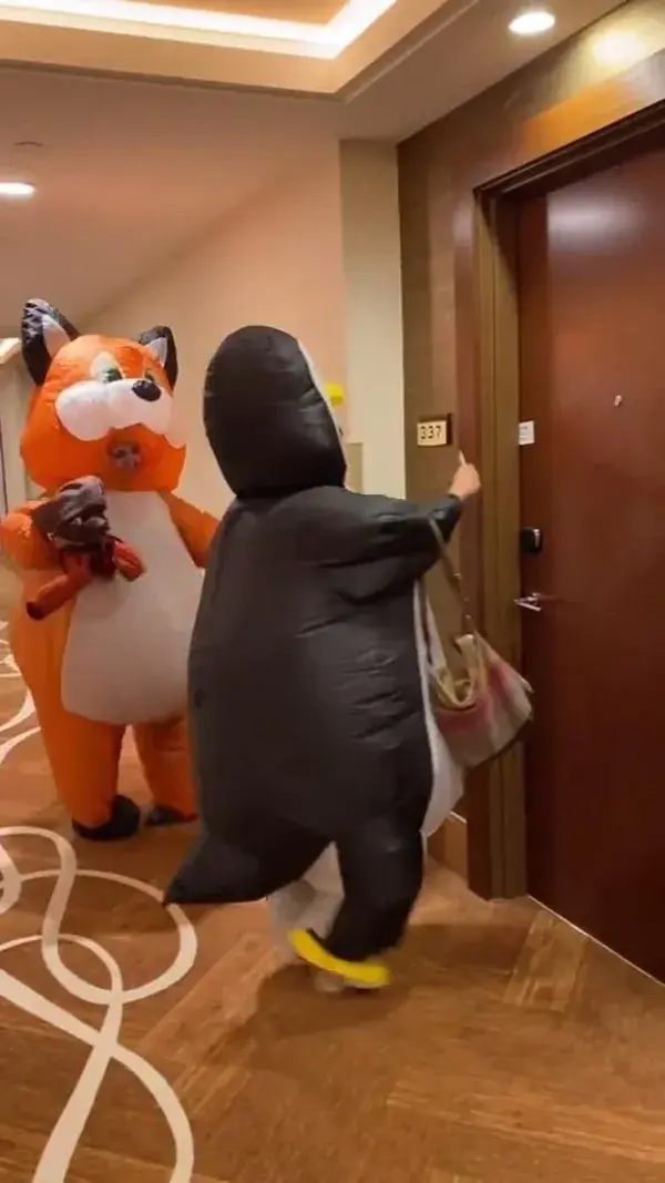 Funny Inflatable Costumes - Fox & Penguin Pillow Fight 🦊🐧