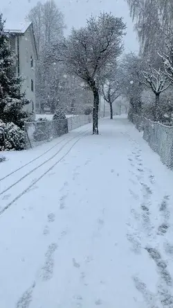 Finally a snowy day in Switzerland 🇨🇭