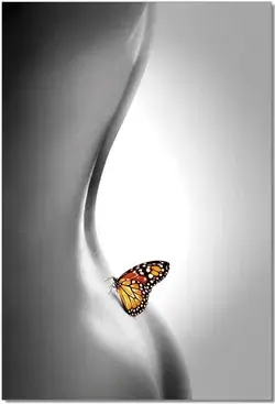 Black and White Butterfly Wall Art