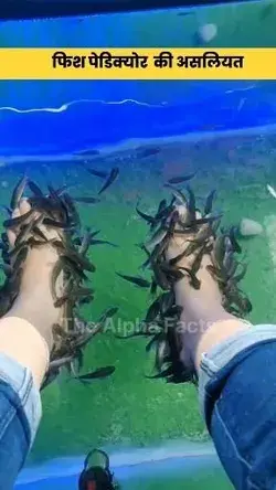 क्या Fish Pedicure जानलेवा है