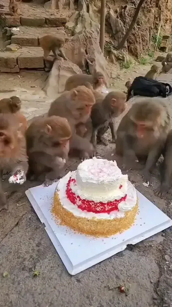 birthday party