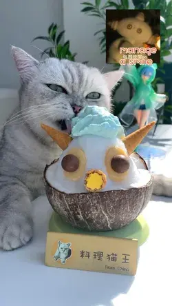 The cat chef made a Makka Pakka with ice