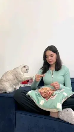 Eating cat fun