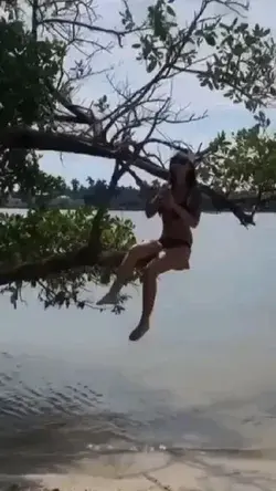 Bikini tree wedgy