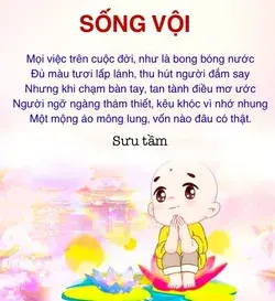 Sống vội (sưu tầm)