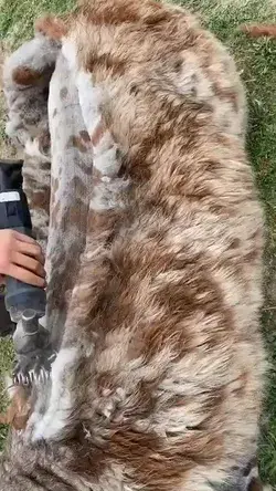 wow. cool coat