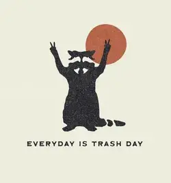 Raccoon Illustration & Design - Kinsey H. Designs - Trash Panda