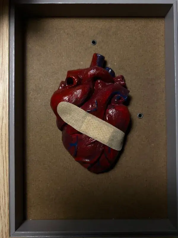 Handmade Anatomical Human Heart Sculpture In a Frame - Clay Art