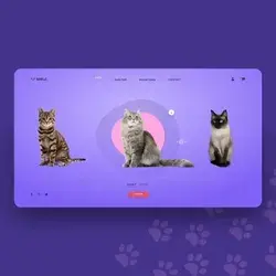 Cute Cat Website design