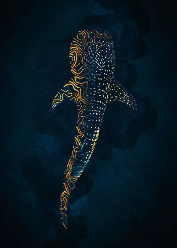 'Whale Shark in Gold' Metal Poster Print - Is Rough | Displate