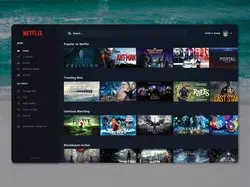Netflix Desktop Application