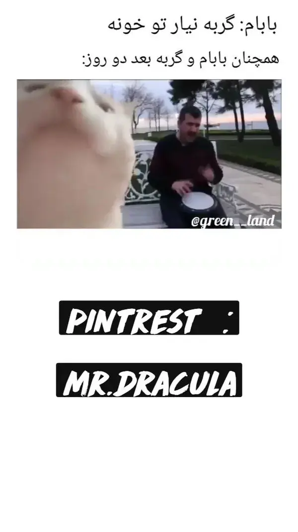 pintrest  :    mr.dracula