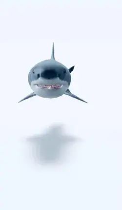 Shark motion wallpaper