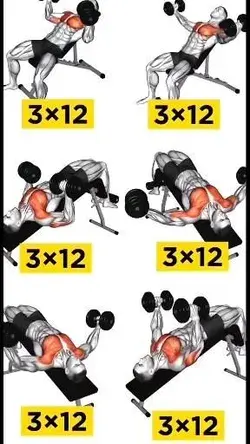 Chest dumbbell work plan🏋️