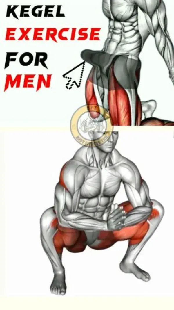 ➜ Strengthen Your PELVIC FLOOR ➜ Increase Blood Flow to Your Groin Area I Exercises For MEN ONLY! - YouTube