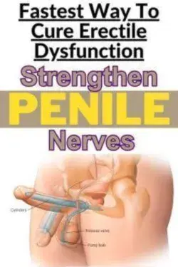 Fastest Way To Cure Erectile Dysfunction Increase Blood Flow To Penis