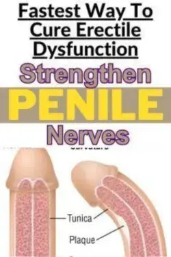 Fastest Way To Cure Erectile Dysfunction Increase Blood Flow To Penis