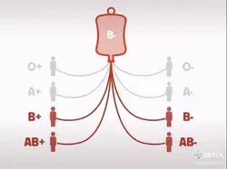 Know your blood type