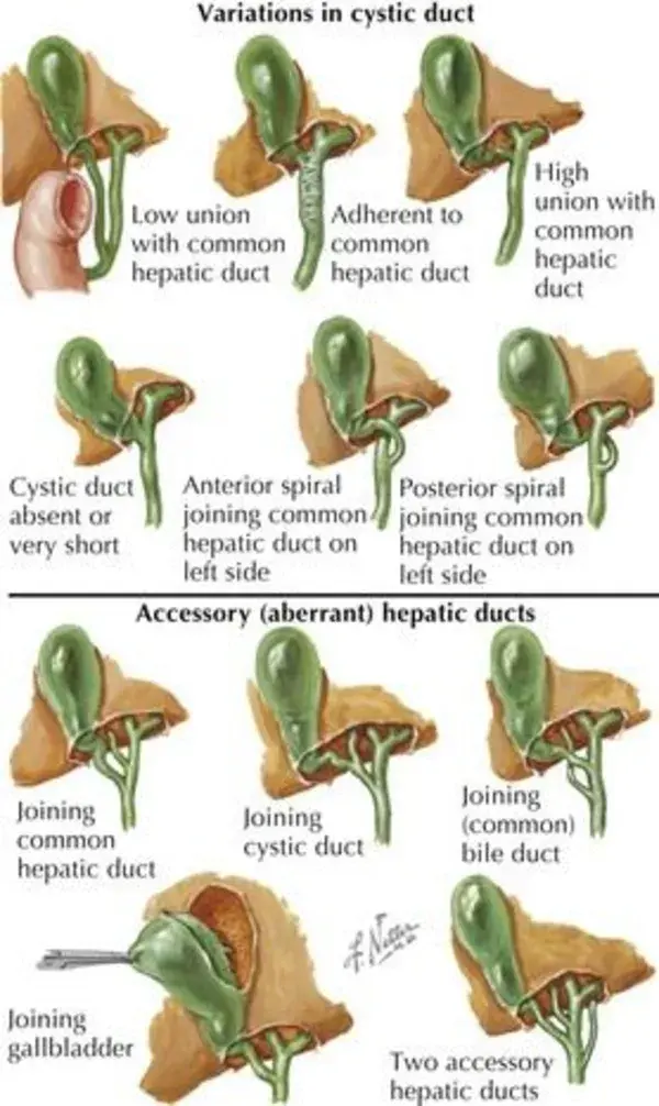 Clinical Gate