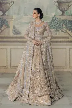 Elan inspired Pakistani Valima/Reception Dress