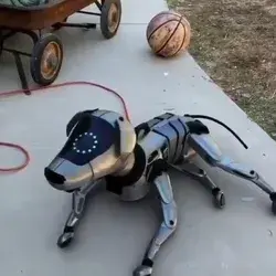 🐶 CGI Dog  