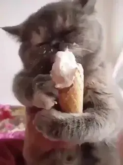 Mmm, ice cream.