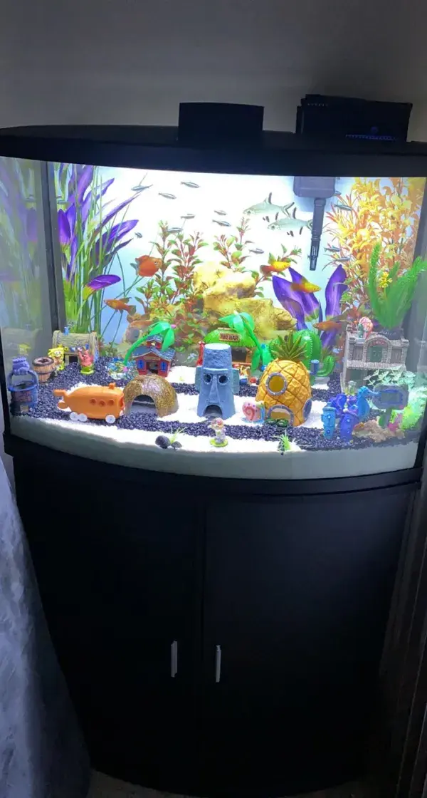 Spongebob fish tank