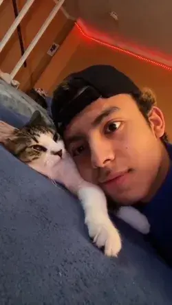 Who else does this with their cat or dog?