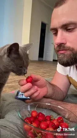 This cat likes to remove the sticks from the cherries 🤗😂🍒