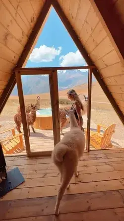 Glamping with Llamas in Peru