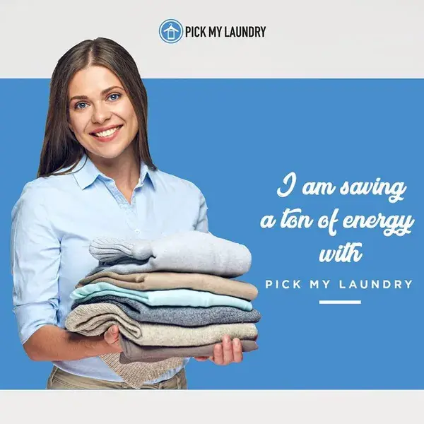 Book pick my laundry 