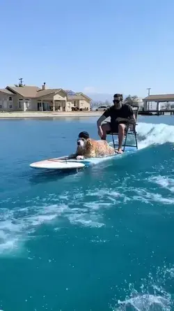Summer vibes in Southern California. Would you and your doggo do this?