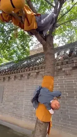 Shaolin monks are next level humans, Become one with nature