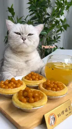 The egg tart made by the cat chef is very delicious.