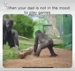 Instant regret😂🦍