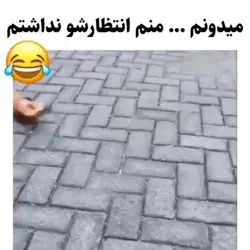 مغزم ارور داد با اجازتون🙂