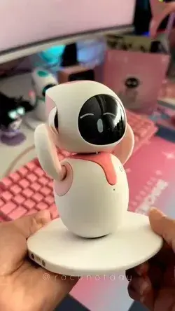 Do You Love This Robot on Your Desk?
