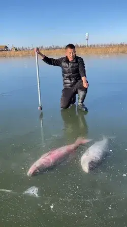 Amazing Ice Fishing - Awesome techniques Break Ice🐟 #Shorts