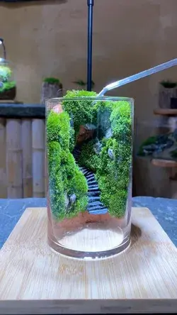 Mini garden 🪴😍 Terrarium design