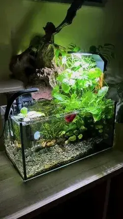 Nano Aquascape