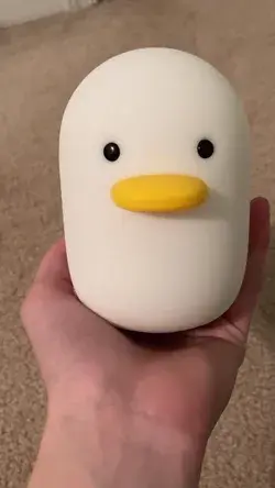 Cute Duck lamp