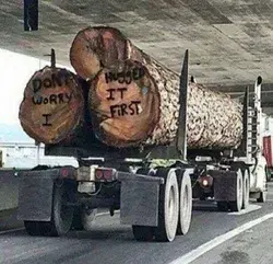LumberJocks Woodworking Forum