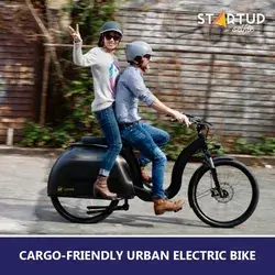 Cargo-friendly Urban Electric Bike