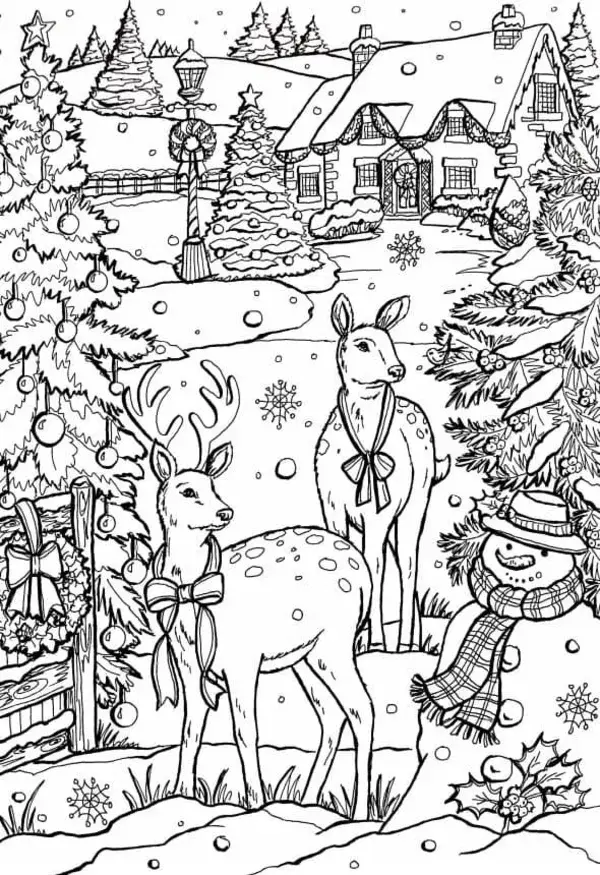 WONDER DAY — Coloring pages for children and adults